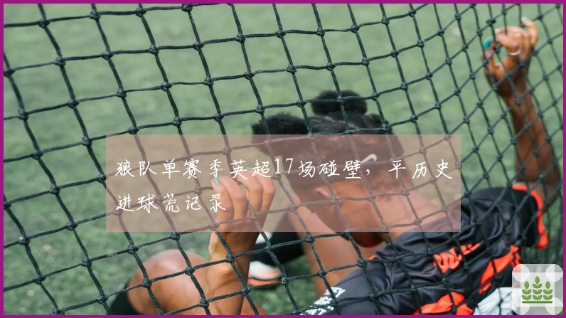 狼队单赛季英超17场碰壁，平历史进球荒记录