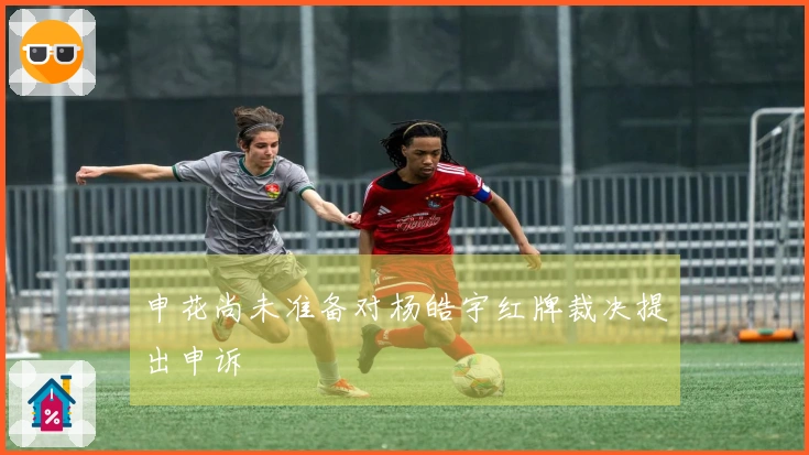 申花尚未准备对杨皓宇红牌裁决提出申诉