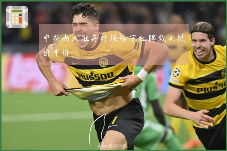 申花尚未准备对杨皓宇红牌裁决提出申诉