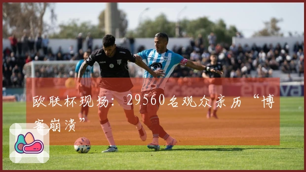 欧联杯现场：29560名观众亲历“博客崩溃”